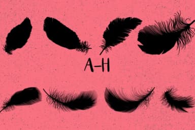 Feathers by Minimalistartstudio — Dingbats Font — thumbnail 2