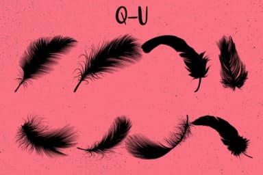 Feathers by Minimalistartstudio — Dingbats Font — thumbnail 4