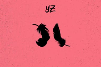 Feathers by Minimalistartstudio — Dingbats Font — thumbnail 5