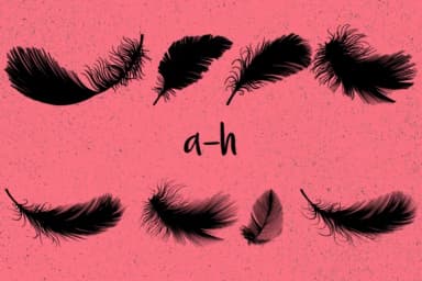 Feathers by Minimalistartstudio — Dingbats Font — thumbnail 6