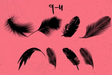 Feathers by Minimalistartstudio — Dingbats Font — thumbnail 8