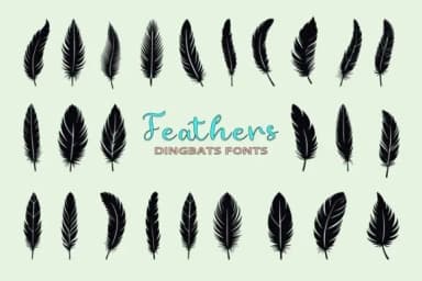 Feathers by Eystore — Dingbats Font — thumbnail 1