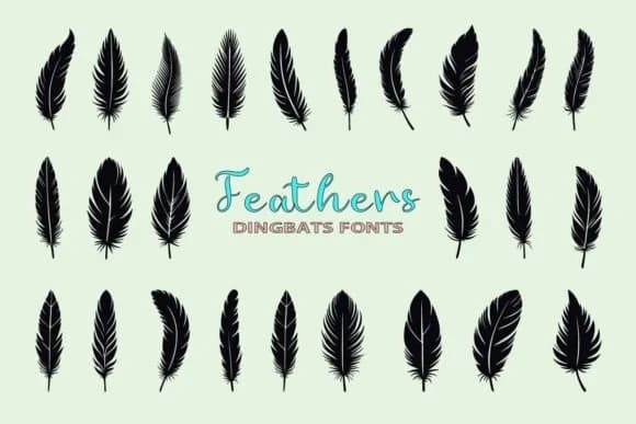 Feathers by Eystore — Dingbats Font