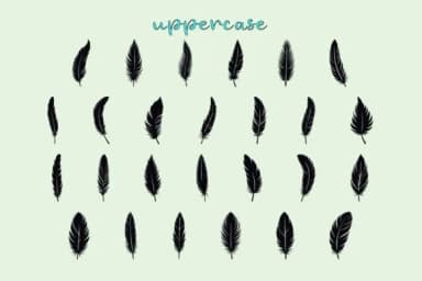 Feathers by Eystore — Dingbats Font — thumbnail 2