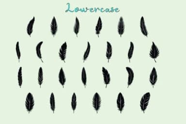 Feathers by Eystore — Dingbats Font — thumbnail 3