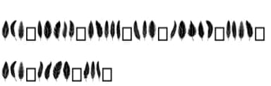 Feathers by Eystore — Dingbats Font — thumbnail 5