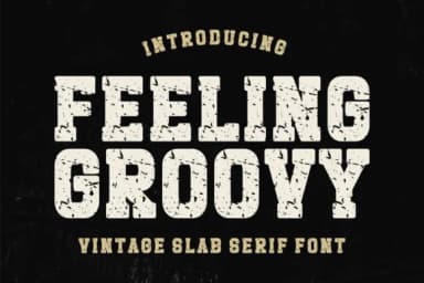 Feeling Groovy by Riman (7NTypes) — Slab Serif Font — thumbnail 1