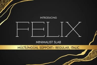 Felix by Minimalistartstudio — Slab Serif Font — thumbnail 1