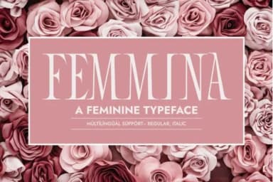 Femmina by Minimalistartstudio — Slab Serif Font — thumbnail 1