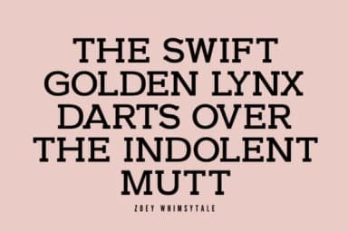 Ferra by Minimalistartstudio — Slab Serif Font — thumbnail 5