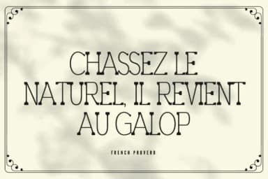 Fexire by Minimalistartstudio — Slab Serif Font — thumbnail 6