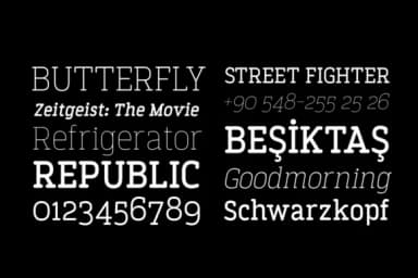 Finalist Round Slab by blntyksl — Slab Serif Font — thumbnail 7
