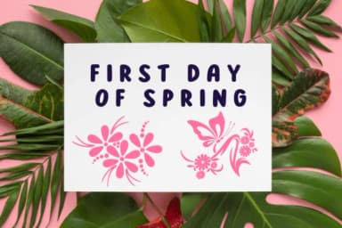 First Day of Spring by PraewDesigns — Dingbats Font — thumbnail 7