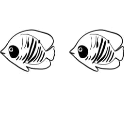 Fish Doodle by Suphitchaya — Dingbats Font — thumbnail 8