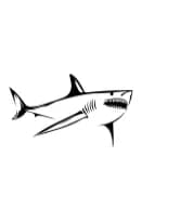 Fish Shark by MOMAT THIRTYONE — Dingbats Font — thumbnail 3