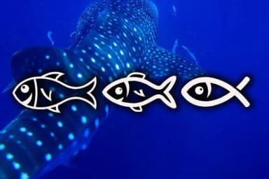 Fishes by vladimirnikolic — Dingbats Font — thumbnail 2