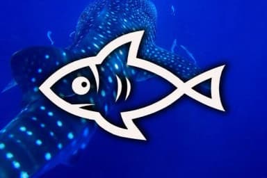 Fishes by vladimirnikolic — Dingbats Font — thumbnail 3