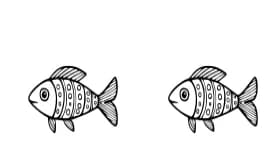 Fishyglyphs by Happy Bamboo — Dingbats Font — thumbnail 4