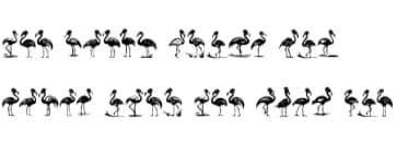 Flamingo Christmas by Nongyao — Dingbats Font — thumbnail 8