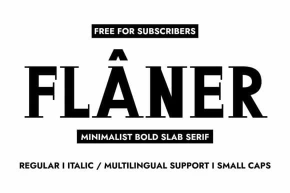 Flaner by Minimalistartstudio — Slab Serif Font