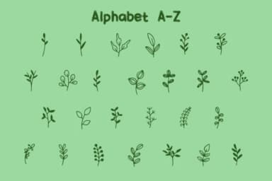 Floba by Letterayu — Dingbats Font — thumbnail 2