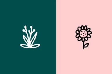 Floral Doodle by CrafterFonts — Dingbats Font — thumbnail 3