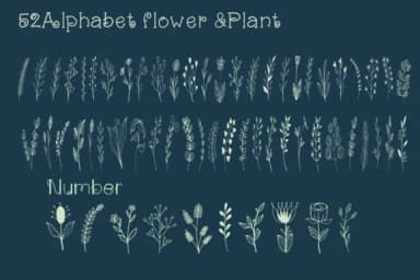 Floral in Minimal by PJ Fonttein — Dingbats Font — thumbnail 2