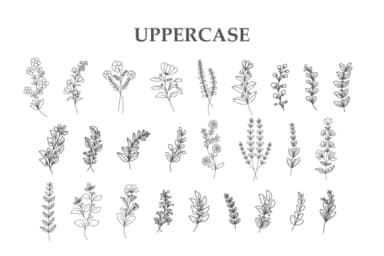 Floral Line Art by Letterayu — Dingbats Font — thumbnail 2