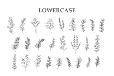 Floral Line Art by Letterayu — Dingbats Font — thumbnail 3