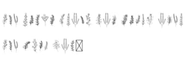 Floral Line Art by Letterayu — Dingbats Font — thumbnail 6