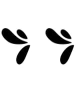 Floral Motif by Ketsarin — Dingbats Font — thumbnail 8