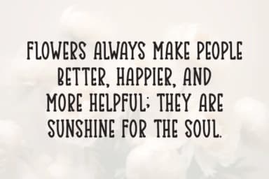 Floral Nest by Letterayu — Slab Serif Font — thumbnail 3