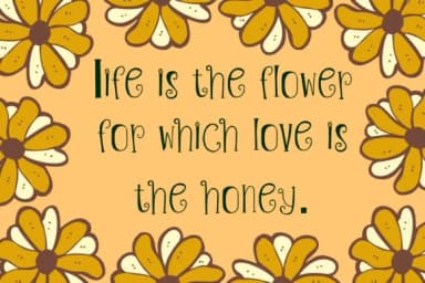 Floral Sunshine by PJ Fonttein — Slab Serif Font — thumbnail 6