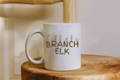 Floralia Dingbat by Sharon ( DmStudio ) — Dingbats Font — thumbnail 6