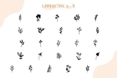 Floralia by Letterayu — Dingbats Font — thumbnail 2