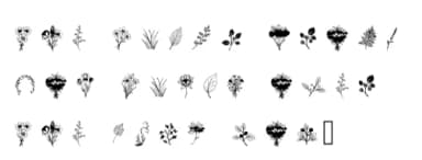 Florascape by Happy Bamboo — Dingbats Font — thumbnail 5