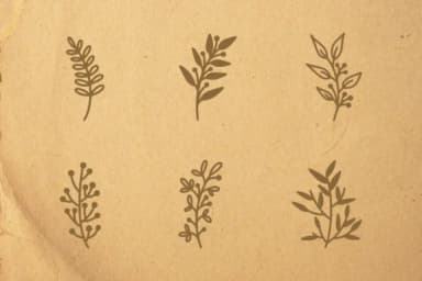 Florista by SiapGraph — Dingbats Font — thumbnail 3