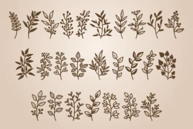 Florista by SiapGraph — Dingbats Font — thumbnail 4