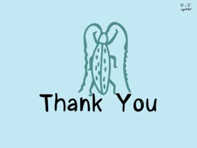 Flower and Bugs by Apollo no.64 — Dingbats Font — thumbnail 4