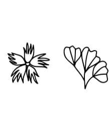 Flower and Bugs by Apollo no.64 — Dingbats Font — thumbnail 5