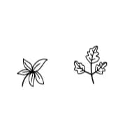 Flower and Leaf Doodle by Fox7 — Dingbats Font — thumbnail 8