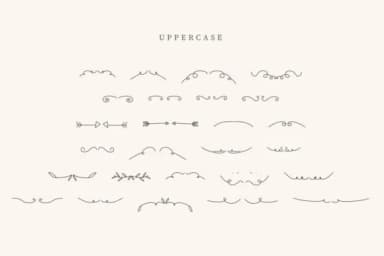 Flower Divider by CraftedType Studio — Dingbats Font — thumbnail 2