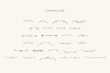 Flower Divider by CraftedType Studio — Dingbats Font — thumbnail 3