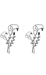 Flower Doodle by Nun Sukhwan — Dingbats Font — thumbnail 8