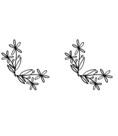 Flower Frame by Heartcraft Atelier — Dingbats Font — thumbnail 8