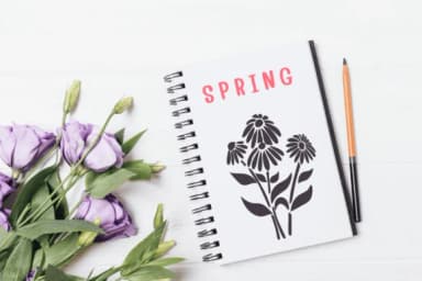 Flower Spring by PraewDesigns — Dingbats Font — thumbnail 5