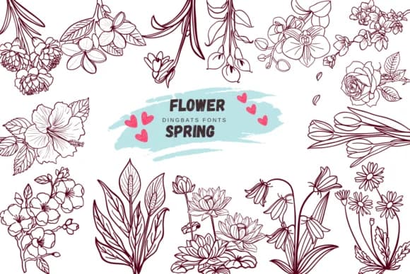 Flower Spring by Suphitchaya — Dingbats Font