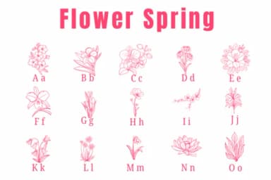 Flower Spring by Suphitchaya — Dingbats Font — thumbnail 2