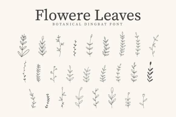 Flowere Leaves by CraftedType Studio — Dingbats Font