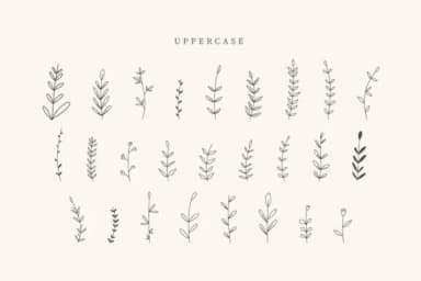 Flowere Leaves by CraftedType Studio — Dingbats Font — thumbnail 2